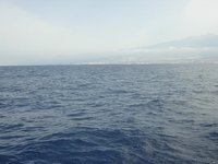 Tenerife 2005 2 51